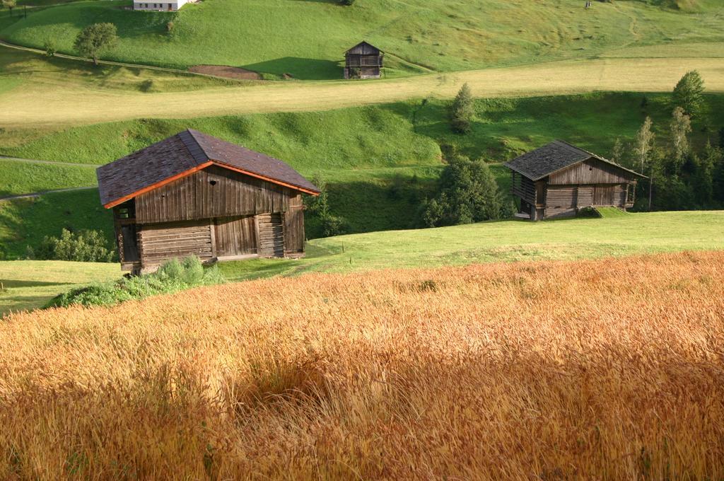 Bauernhof Im Wiesengrund Maria Luggau Exteriér fotografie